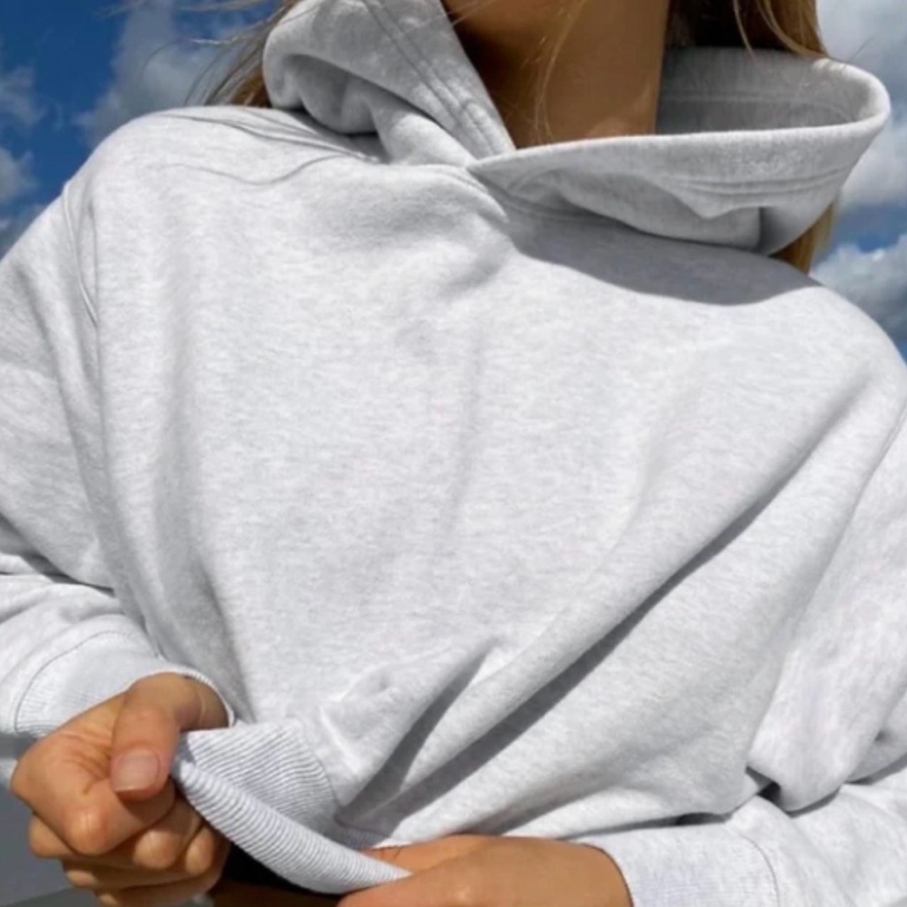 TNA Aritzia shrunken cozy pullover hoodie